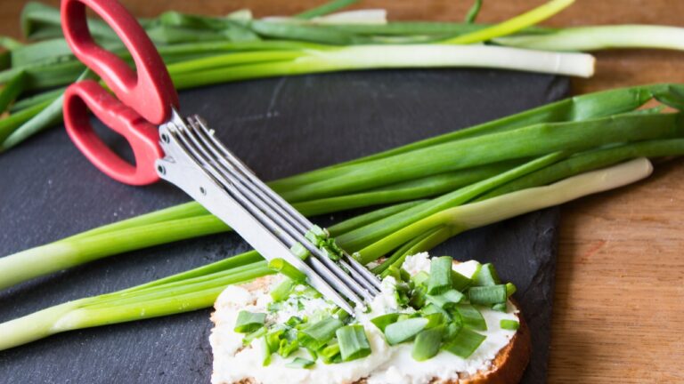 herb scissors